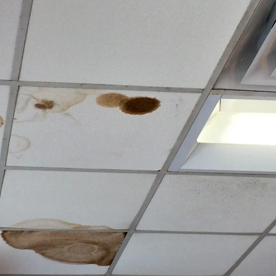 Roof and storm leak water damage on a Forney, TX ceiling